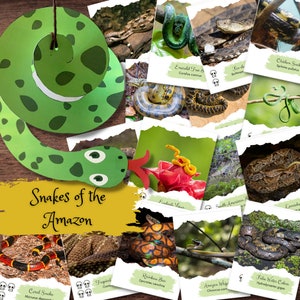 Cartões flash de espécies de cobra amazônica inspirados em Montessori e artesanato Anaconda para impressão