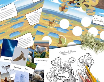 Könnte beinhalten: Ein farbenfrohes Lernspiel über die Tundra-Biosphäre. Die Karte zeigt Illustrationen von Tieren, Pflanzen und Landschaften, die in der Tundra vorkommen. Die Karte enthält auch Text, der das Klima, die Flora, die Fauna und das Wasser der Tundra beschreibt.