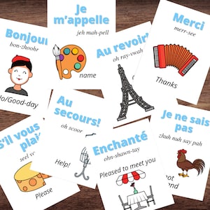 フランス語 フランス語フレーズフラッシュカード イラスト付き発音付き *フルカラー*