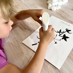 Cotton BOTANY Study Flash Cards Cotton Ball Craft | Early Childhood ...