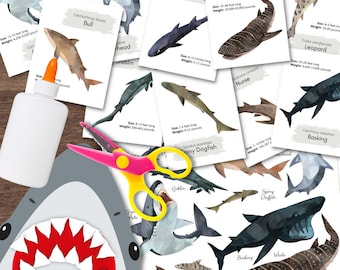 Montessori-Inspired SHARK Study Illustrated Flashcards Species Poster & Hands-On Craft