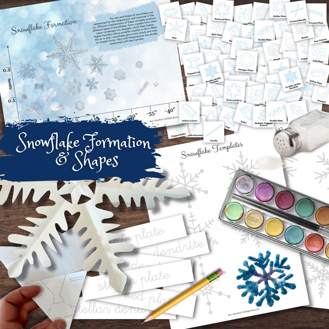 Snowflake Formation Designs Poster Matching Labeling Craft Bundle - Etsy