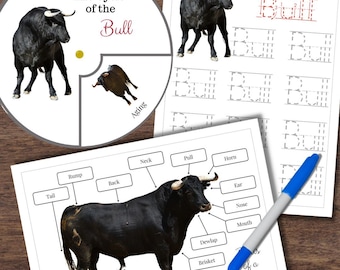 Montessori-Inspired BULL Life Cycle Anatomy Matching Letter Tracing