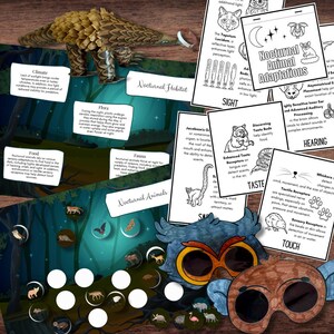 Può includere: Esposizione didattica sugli animali notturni, con una maschera di gufo, un binocolo e schede informative. Le schede trattano argomenti come adattamenti, vista, udito, gusto e tatto. L'esposizione include illustrazioni di varie creature notturne.