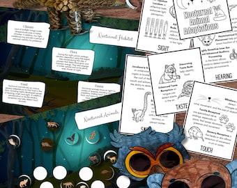 Libro animado NOCTURNO para estudiar animales, rompecabezas/póster de emparejamiento, gafas de simulación y pangolín con piña