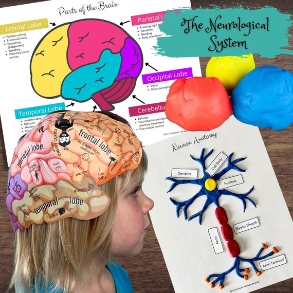 Brain hat sale
