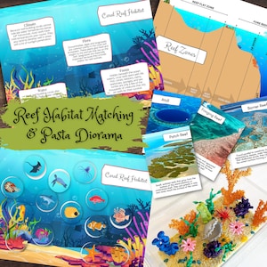 CORAL REEF Habitat Biome Study Matching Puzzle, 3-delige kaarten, Diorama-activiteit