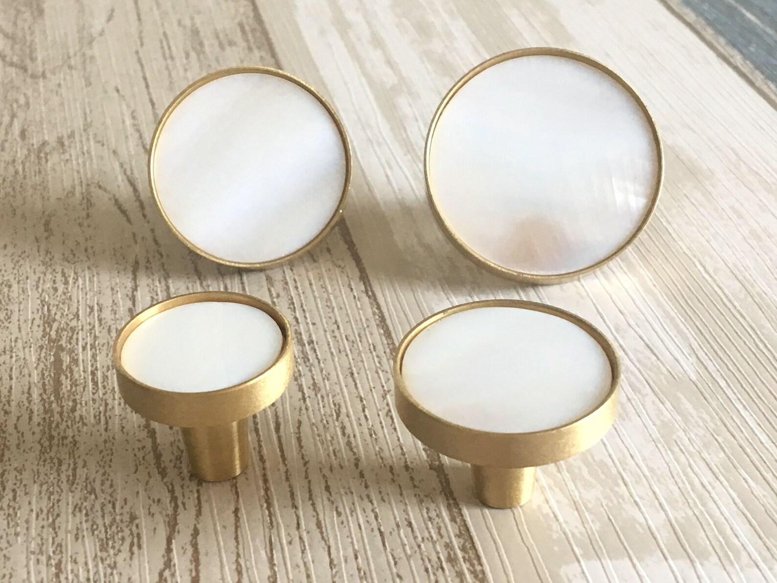 Brass Cream Knob Shell Nautical Drawer Pull Handle Knobs Etsy