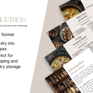 K&ouml;nnte beinhalten: Rezeptkarten mit verschiedenen Gerichten, darunter Maple Pecan Granola Bar und Creamy Stroganoff Noodles. Die Karten sind im PDF-Format und enthalten 100 Trockenmischungsrezepte. Der Text "Perfect for prepping and pantry storage" ist ebenfalls enthalten.