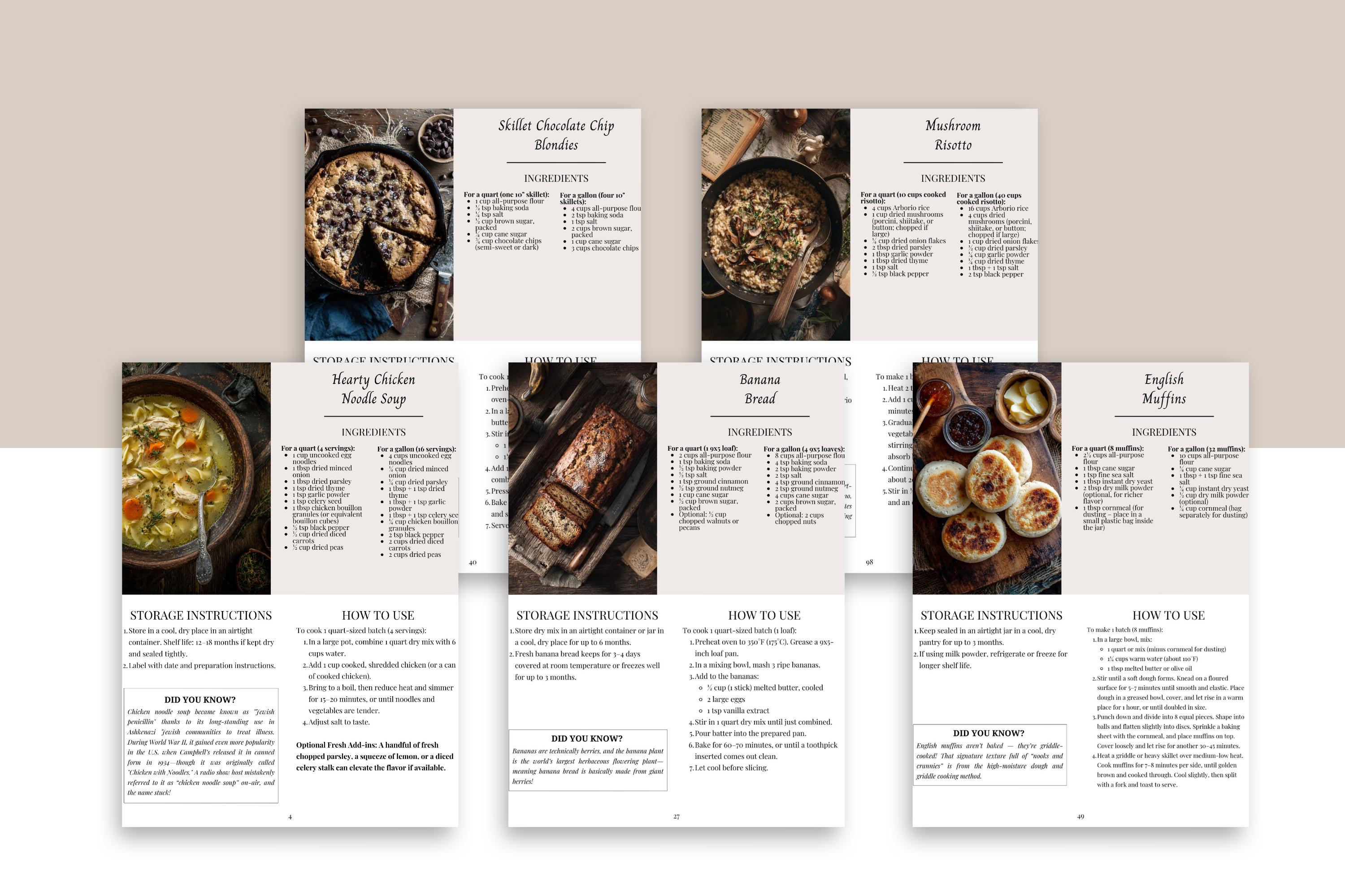 10-minute Pantry Mix Recipes PDF – 100 Easy Dry Mix Cooking Ideas to ...