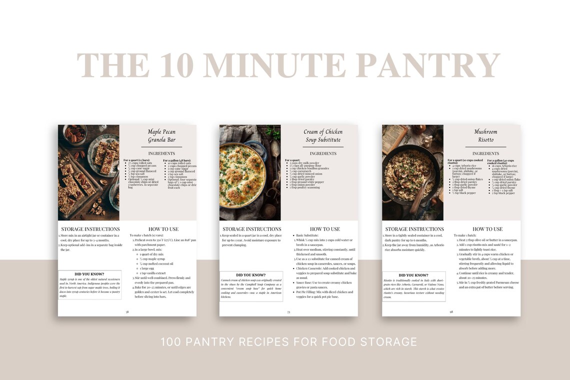 10-minute Pantry Mix Recipes PDF – 100 Easy Dry Mix Cooking Ideas to ...