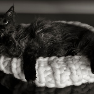 Giant Wool Cat Basket kitty bed