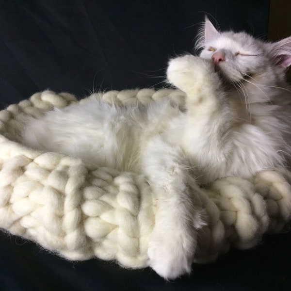 Téléchargement PDF - Panier pour chat en laine géante Kitty Bed Knitting Pattern