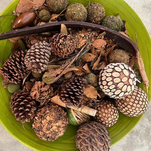 POTPOURRI woodland blend of forest floor Firs, Cedars and Pines Bowl NOT included