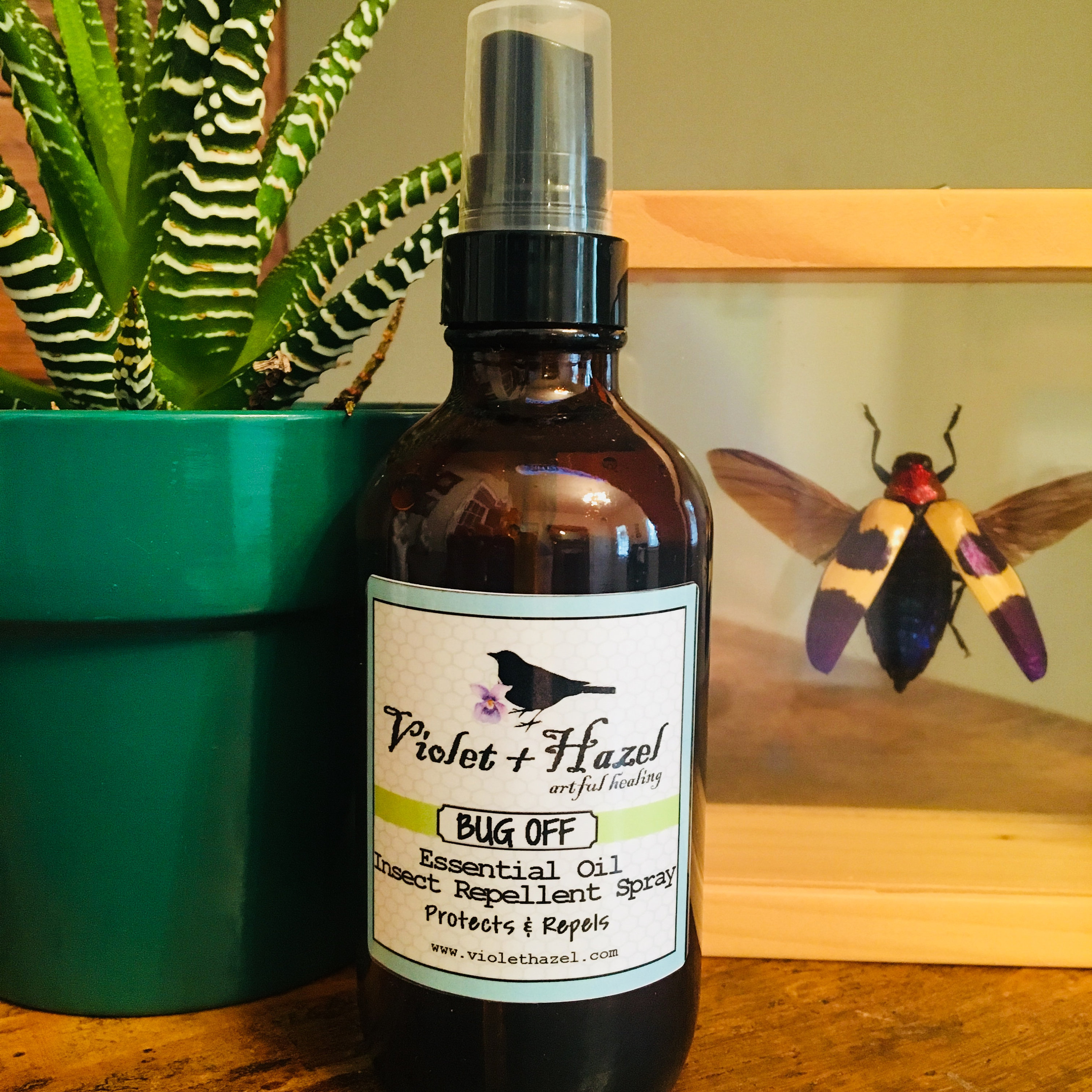 BUG OFF Essential Oil Insect Repellent Spray Safe for Dogs Etsy