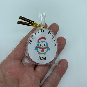 May include: A small clear plastic bag tied with gold ribbon, containing ice. The bag has a circular sticker with a cartoon penguin wearing a Santa hat and scarf, with the words "North Pole Ice".