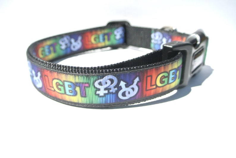 LGBT Dog Collar 1 Adjustable Gay Pride Collar Etsy