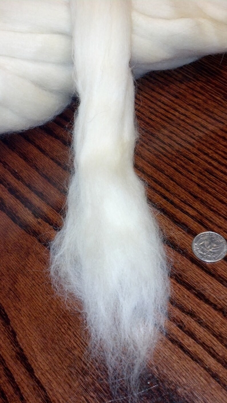 White Wool Top Roving Fiber Spinning Undyed Wool Roving Wool Etsy