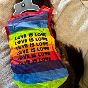 May include: A rainbow-striped dog tank top with the text "LOVE IS LOVE" repeated multiple times. The tank top has a red trim and is hanging on a white hanger. The size is medium.