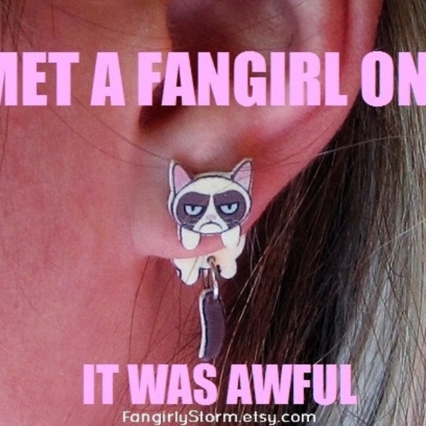 Grumpy Cat  Internet meme Clinging earrings  Handmade Geeky front and back  kawaii two part post earrings