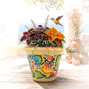 May include: A cream-colored ceramic planter featuring hand-painted designs of a yellow hummingbird, blue flowers, and green leaves. The planter is filled with a mix of purple and orange coleus plants and thin green grass-like foliage.