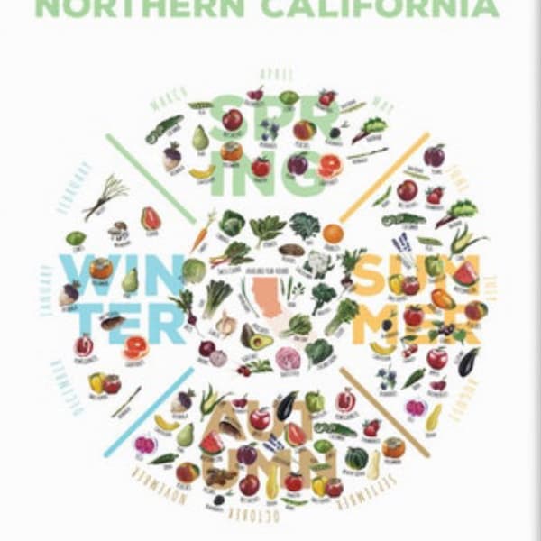 Seasonal California Produce Chart Etsy