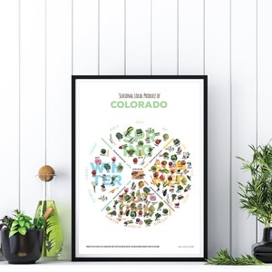 May include: A black framed poster with a white background and a colorful infographic depicting seasonal local produce of Colorado. The infographic is a circle divided into four sections representing the four seasons: winter, spring, summer, and fall. Each section lists the produce that is in season during that time of year.