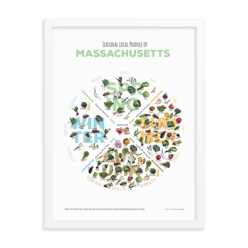 MASSACHUSETTS In Season Produce Chart image 8