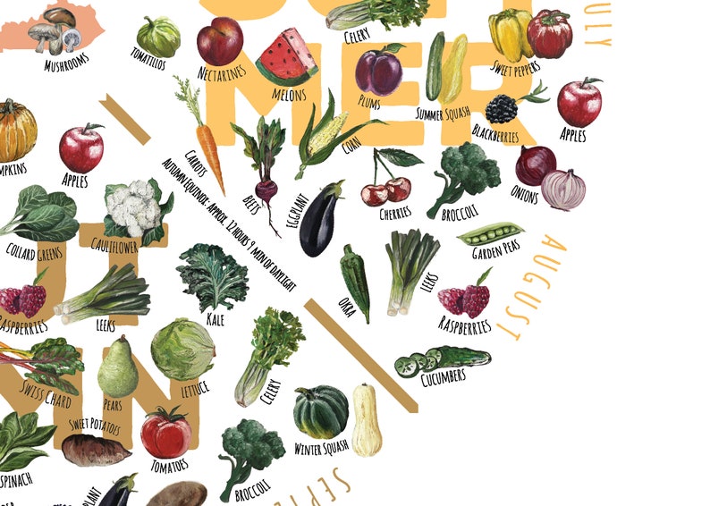 KENTUCKY Seasonal Produce Chart Framed or Unframed image 3