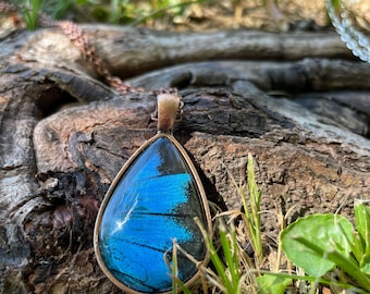 Blue Mountain Swallowtail ~ Teardrop Deep Blue Turquoise REAL Butterfly Wing in a Vintage Necklace