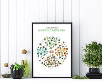 Puede incluir: Un póster blanco con marco negro, titulado "Productos locales de temporada de Carolina del Norte". El póster presenta un gráfico circular con cuatro secciones que representan las estaciones: primavera, verano, otoño e invierno. Cada sección está llena de ilustraciones coloridas de frutas y verduras que están en temporada en Carolina del Norte.