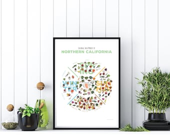 May include: A framed poster with a white background and a colorful infographic depicting seasonal produce in Northern California. The infographic is divided into four sections representing the seasons: Spring, Summer, Fall, and Winter. Each section features a variety of fruits, vegetables, and herbs.
