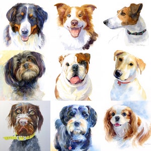 May include: A collection of nine watercolor paintings of dogs. The paintings are all in a realistic style and feature a variety of dog breeds, including a Bernese Mountain Dog, a Border Collie, a Jack Russell Terrier, a Bulldog, a Labrador Retriever, a Shih Tzu, a Poodle, a Cavalier King Charles Spaniel, and a German Shorthaired Pointer.