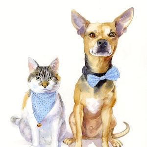 May include: A watercolor painting of a cat and a dog wearing bow ties. The cat is a calico with a blue and white polka dot bandana. The dog is a tan and white chihuahua with a blue bow tie. The background is white.