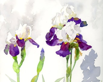Notecard of Violet and White Bearded Iris