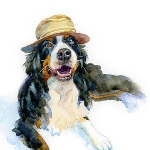 May include: A Bernese Mountain Dog wearing a brown straw hat, looking directly at the camera with its mouth open in a smile. The dog is lying down on a white background.