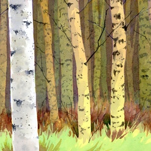May include: Watercolor painting of a birch forest. The image features several birch trees with white and black speckled bark, set against a backdrop of other trees with green and brown tones. Green grass is at the bottom.
