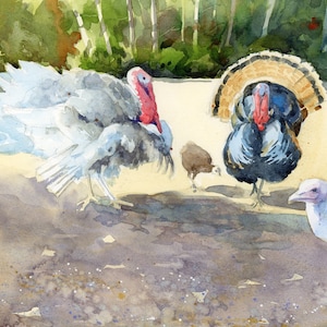 May include: Watercolor painting of a group of turkeys. The turkeys have white, gray, and black feathers, with red wattles and snoods. The background shows a blurred depiction of trees and a light-colored ground.