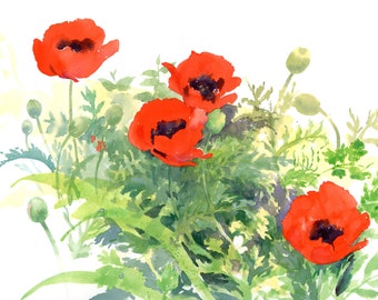 Poppies Notecard - RED RED RED - Late Spring Flower - 6 x 4.25" - Garden Dazzler - for Flower Lovers