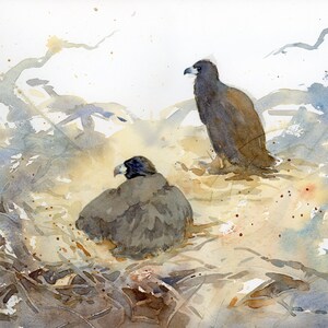 May include: Watercolor painting of two dark brown birds, possibly eagles or hawks, in a nest. One bird is perched, the other is sitting. The artwork uses muted tones of brown, blue, and beige, with a focus on texture and light.