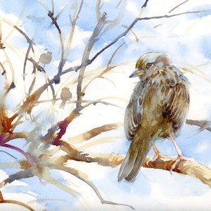 May include: Watercolor painting of a sparrow perched on a branch, with other birds and tree branches in the background. The artwork features a soft color palette of browns, blues, and whites, creating a serene nature scene.