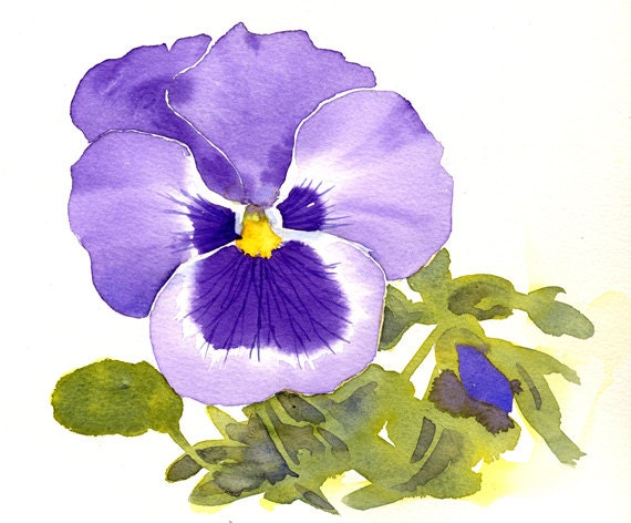 Fleur de pensée violette Aquarelle originale Plus grande - Etsy France
