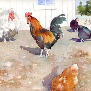May include: A watercolor painting of a rooster, a turkey, and two hens in a barnyard setting. The rooster is brown and black with a red comb and wattle. The turkey is white with a red head. The hens are brown and black.