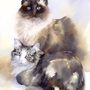 May include: Watercolor painting of two cats. One cat is a long-haired Siamese with blue eyes, sitting upright. The other cat is a tabby with white markings, lying down. The painting is signed "Doris Ehlinger".