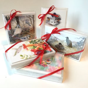 May include: A set of six greeting cards with red ribbon bows. The cards feature watercolor illustrations of birds and flowers. The cards are packaged in clear plastic sleeves.