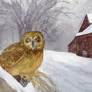 May include: Watercolor painting of a brown owl with yellow eyes perched on a snow-covered branch. A red barn is in the background, with a snowy landscape and falling snow. The artwork is signed by the artist.