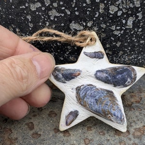 Handmade mussel shell star hanging made with real Cornish mussel shells and white grout. mussel shell. shell hanging. gift from Cornwall