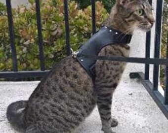 spiked cat harness