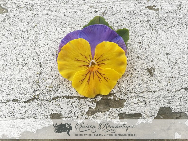 Brooch Pansy Polymer Clay Flowers Mothers Day Gift for Etsy