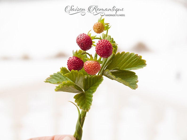 Mothers Day Gift for Women Earrings Red Gift For Her Berry Brooch Polymer Clay Flowers Brooch Wild strawberry